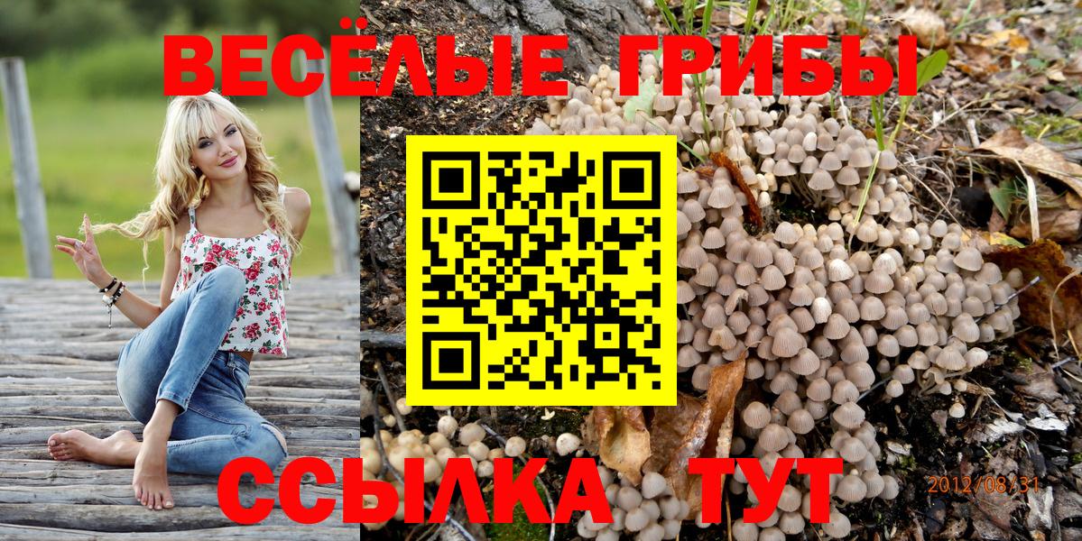Псилоцибиновые грибы Cubensis Нальчик