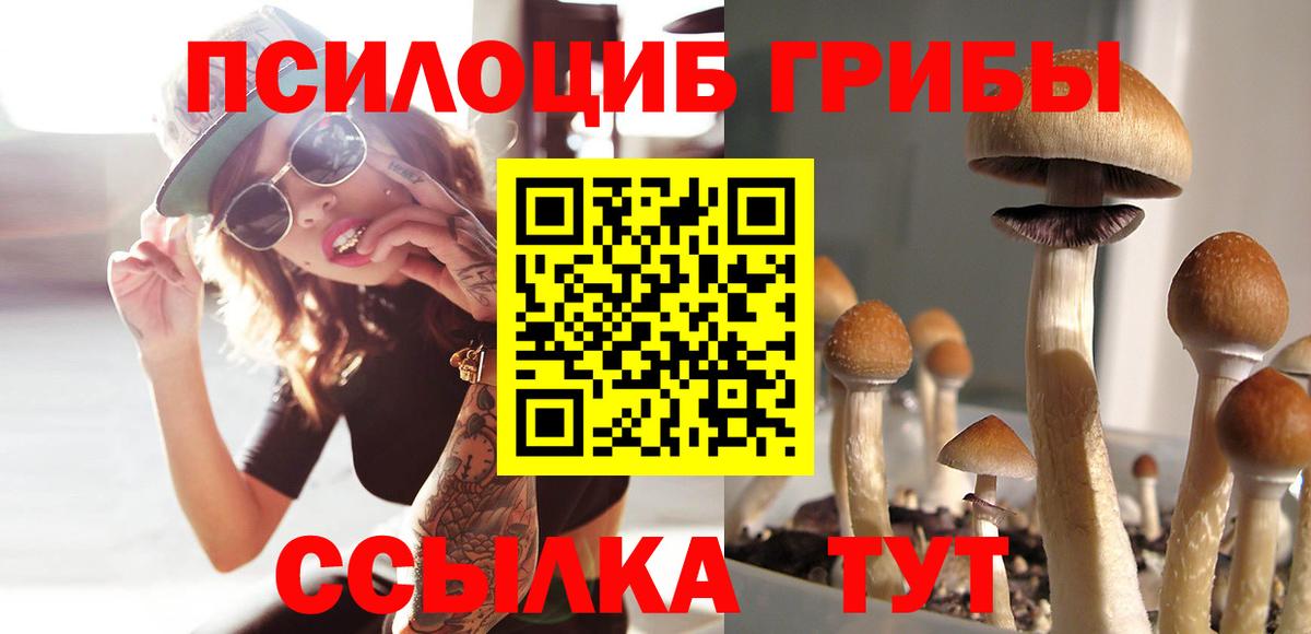 Нальчик  Галлюциногенные грибы MAGIC MUSHROOMS  Вход с VPN 